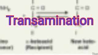 Transamination Biochemistry [upl. by Milda465]