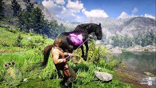 ARTHUR CATCH A BEAUTIFUL CHAROITE HORSE  RDR2  GAMEPLAY [upl. by Ecnar50]