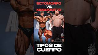 ENDOMORFO vs MESOMORFO los diferentes tipos de cuerpo cual tenéis gym gimnasio mosomorfo fit [upl. by Euqcaj266]