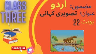 Lesson Plan Urdu Class3 Topic Tasweeri Khaani Unit22 [upl. by Elades691]