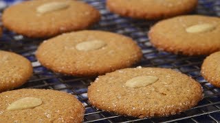 Speculaas Recipe Demonstration  Joyofbakingcom [upl. by Bacon656]