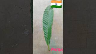 🇮🇳I drew the national flag with paint on the leaves of the Chalta tree reels short [upl. by Jenne936]