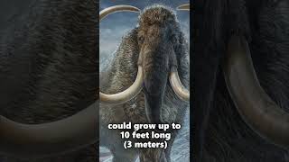 3 Facts About The Woolly Mammoth [upl. by Guevara]