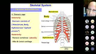 Lecture 2 Skeletal system july 2024 [upl. by Larimor]