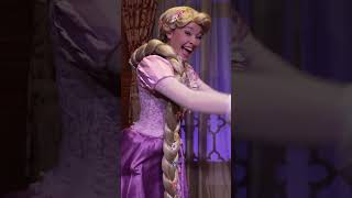 Where to Find Every Princess in WDW shorts waltdisneyworld [upl. by Rothenberg]