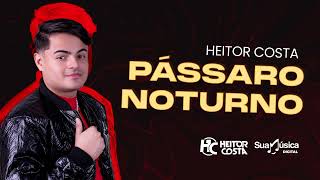 Heitor Costa  Pássaro Noturno Áudio Oficial [upl. by Ecnaret]