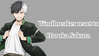 Windbreaker react to Haruka sakurapart 1shortREAD DESCRIPTION [upl. by Valentia]