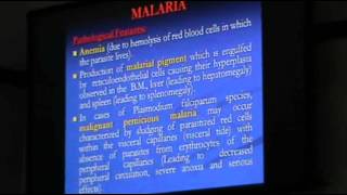 DrSahar  Parasitic Infections 3  Leishmaniasis [upl. by Kral788]