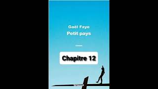 12  Petit Pays  Gael Faye  aide à la lecture  Chapitre 12 [upl. by Ttoille]