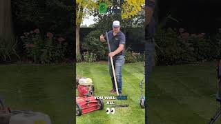 How to Effectively Remove Thatch from Your Lawn [upl. by Sigismondo]