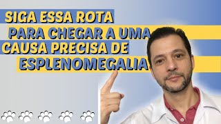 Fisiopatologia da hepatoesplenomegalia em cÃ£es e gatos [upl. by Dronski]