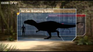 Breathing Techniques  Planet Dinosaur  Episode 1  BBC One [upl. by Wadlinger]