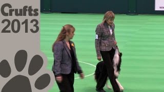 Obedience Dog Championships  Day 3  Crufts 2013 Jackie Duck amp Tyeford Xander [upl. by Hawk]