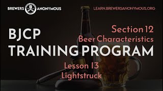 BJCP Training Section 12 Beer Characteristics  Lesson 13  Lightstruck [upl. by Guillema388]