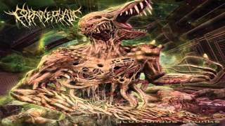 Coprocephalic  Gluttonous Chunks 2013 FullAlbum [upl. by Aiet]