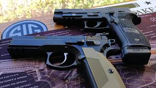 Cajun gun work CZ SP01 vs Sig P226 Navy [upl. by Wilfreda20]