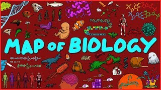 Map of Biology [upl. by Aserej]