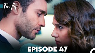 Firefly Episode 47 FULL HD [upl. by Voletta]