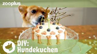 Hundekuchen backen  Tierisch einfach DIY mit Luisa  zooplus [upl. by Aliet]