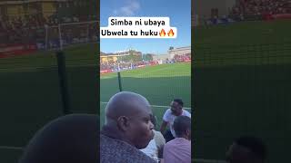 Hii simba balaa lipo🔥🔥 ayomamedia [upl. by Quita]