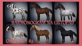 HARMONOGRAM NA LISTOPAD  NORIKERY  NOWE KONIE  odc85 sso starstableonline starstable [upl. by Ydnas]