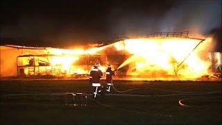 200 Schweine verbrennen auf Hof in BadenWürttemberg [upl. by Leila]