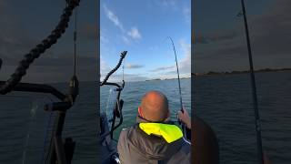 Zodiac Pro 7 fishing [upl. by Asyle]