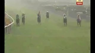 Horse race at Race course in Kolkata on New YEAR [upl. by Eednus]