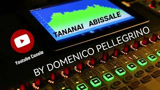 TANANAI ABISSALE By Domenico Pellegrino full hd Testo [upl. by Enilecram]