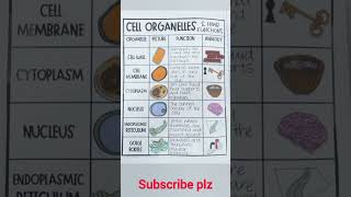 Biology notesCell organelles amp their function shorts biology science [upl. by Hcardahs]