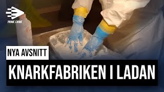 Operation Kuba Knarkfabriken i ladan  Elin Tilltalad Inspelning 4 [upl. by Ennoira]