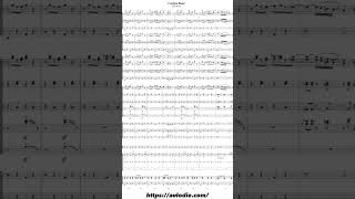 quotCantina Bandquot by John Williams for concert band [upl. by Zealand]