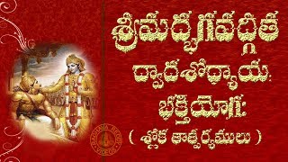 SRIMAD BHAGAVAD GITA CHAPTER 12 TELUGU LYRICS AND MEANING [upl. by Brice758]