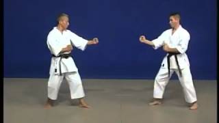 Shito Ryu Pinan Sandan Kata amp Bunkai by Hidetoshi Nakahashi [upl. by Culley]