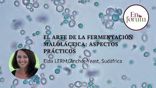 El Arte de la fermentación maloláctica aspectos prácticos [upl. by Clardy]