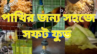 Soft food for birds।Soft food for budjies 2025। সহজে পাখির সফট ফুড। cocktail pakhir soft food winter [upl. by Onitnatsnoc]