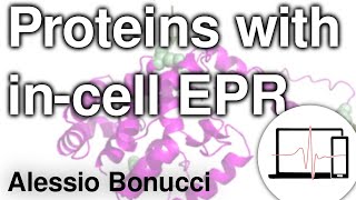 Nitroxide radicals for structural investigations on proteins with incell EPR  Alessio Bonucci [upl. by Eelloh]