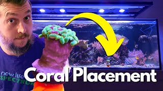 Whats The Perfect Coral Placement in a Reef Aquarium A Beginners Guide [upl. by Chaunce114]