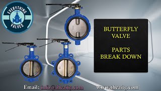 Butterfly Valve Break Down How does a butterfly valve work Wafer butterfly valve disassembly [upl. by Lapham]