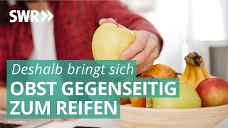 Warum bringt sich Obst gegenseitig zum Reifen  Marktcheck SWR [upl. by Navap179]