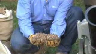 Wood Chipper Leaf Shredder Shredding Pine Cones and Pine Needles [upl. by Ward]