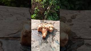 ginger recipe🙂🙂shortsyoutubeshortsgingerrecipes [upl. by Eelatan]