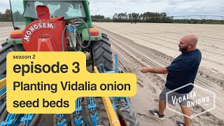 Episode 3  Planting Vidalia onion seed beds for 2025 crop [upl. by Geraud95]