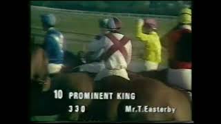 1981 Stayers Hurdle Cheltemham Exteneded footage [upl. by Yeta]