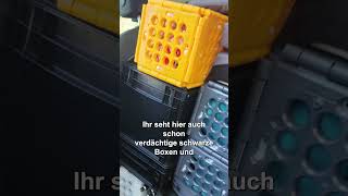 boxxtool®  Teil 2 Der Motorradanhänger wird zur gemütlichen Oase 🏍️✨ [upl. by Yragerg62]