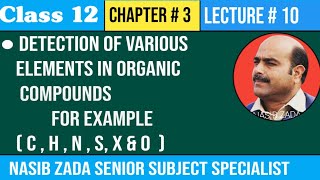 Detection Of Various Elements in Organic Compounds Detection of CHNSX O NASIBZADASSS [upl. by Hessney]