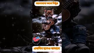 ভালোবাসা কতো নিষ্ঠুর💘sad video cats sadsong sadstatus catshorts sadtiktok [upl. by Lonne]