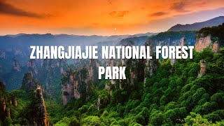 Exploring the Majestic Zhangjiajie National Forest Park facts viralvideo china forest ecosystem [upl. by Ardnoet]