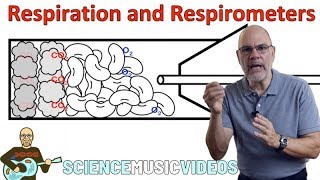 Respiration and Respirometers [upl. by Ehrlich273]