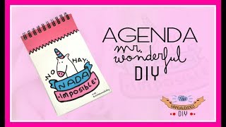 AGENDA MR WONDERFUL DIYDIARY MRWONDERFUL DIY  TUS MANUALIDADES DIY [upl. by Nabatse]